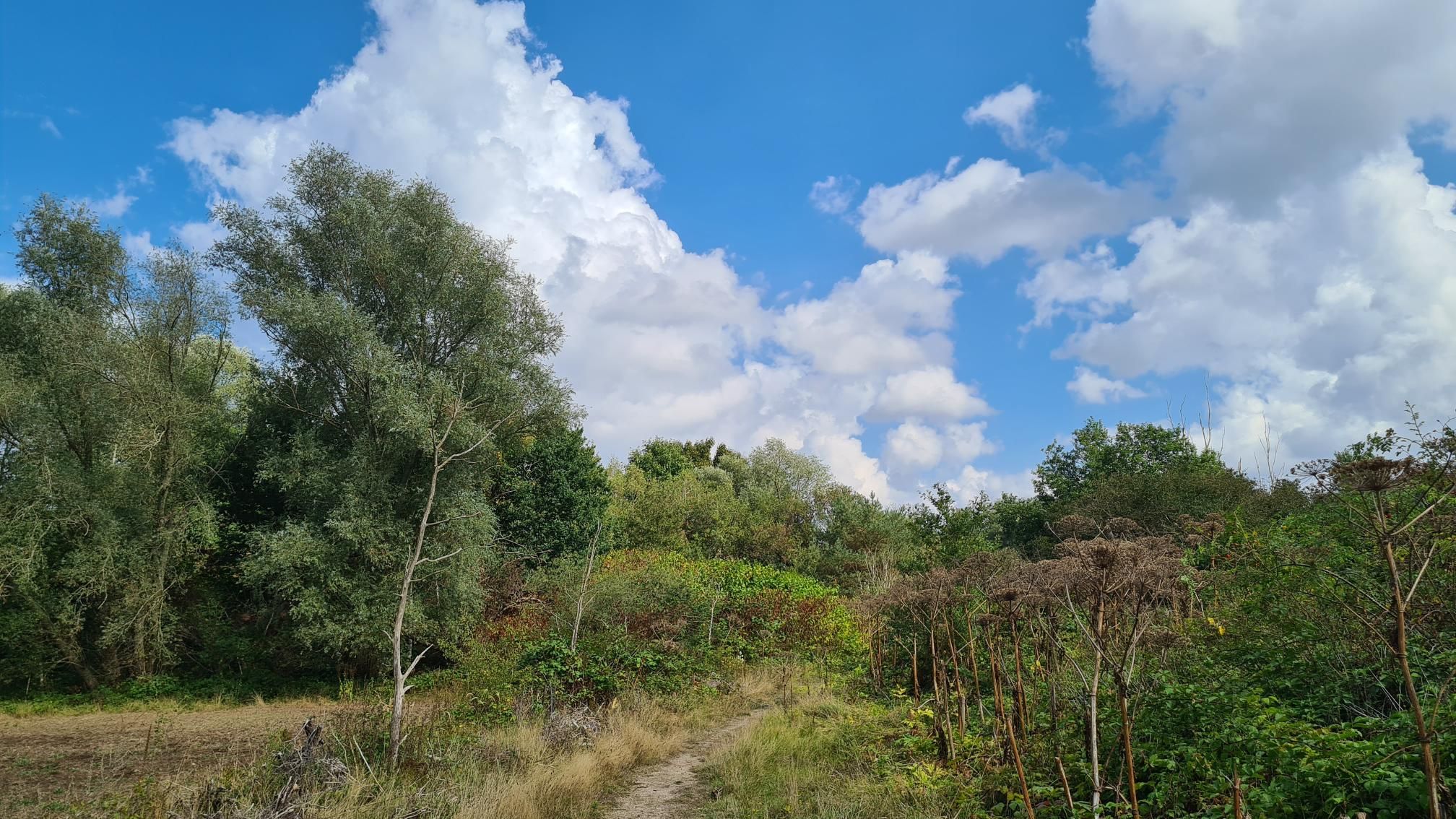 0gIe8mguJBbiBbHOSy4KHqPCsJBjOlxgKASL-SNWInI-2048x1152