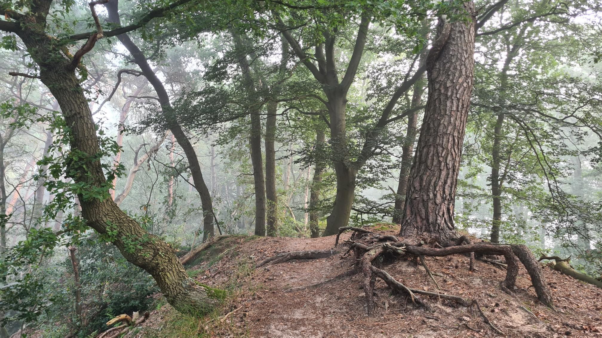 AyEg4ECOX7nX0M_b_4c6LoTe3KJKDb_lEuaA411iBAI-2048x1152