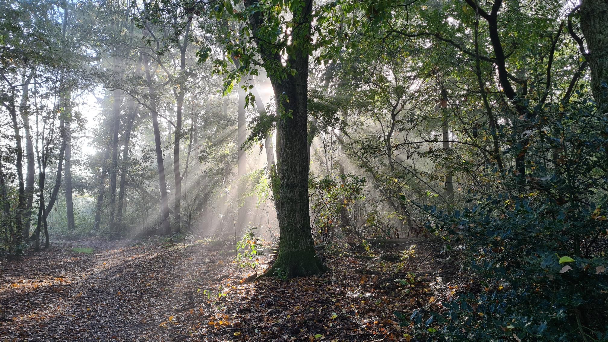 Ttqx3MBmMOsdvbWeeAIhHmsJLTPb5Qyzw-GGqMHD1j4-2048x1152