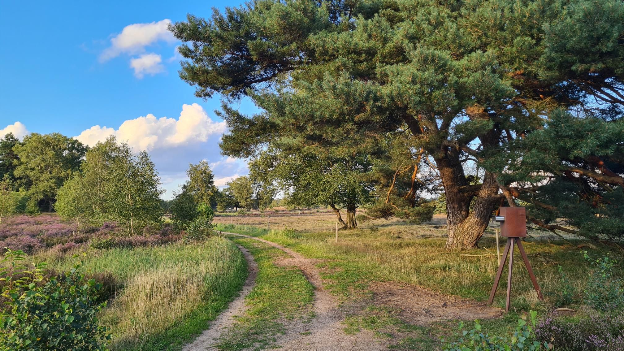 jeQ14xPnwCInKbE15JNzQHxfHiaY7vcaI12YSFsaRoQ-2048x1152